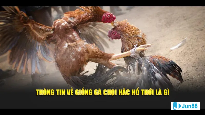 Chăm sóc sức khỏe định kỳ