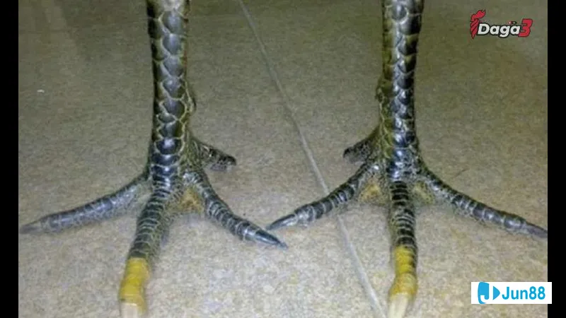 Phòng khách nội thất hiện đại