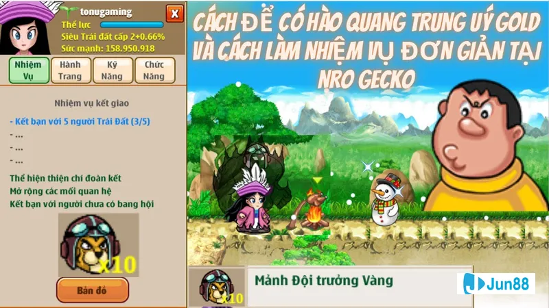 Đèn Noel và cành thông trang trí